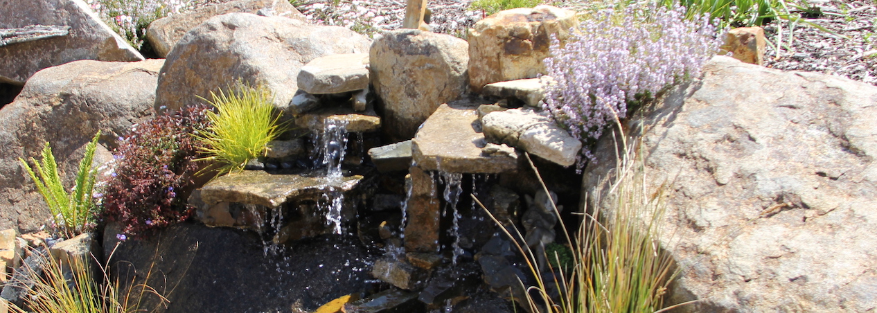 Water Features